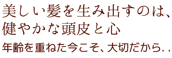 見出しタイトル