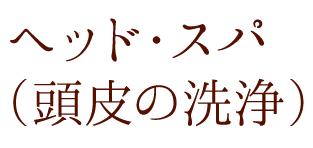 ヘッド・スパ（頭皮の洗浄）